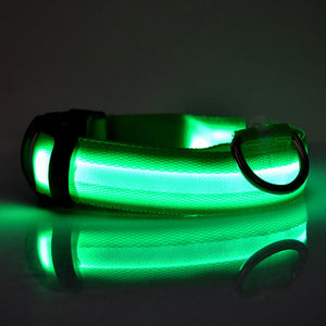 Glowing Dog Collar