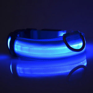 Glowing Dog Collar